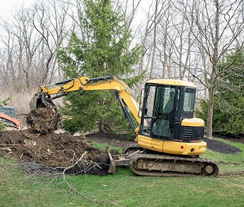 Backhoe Removing Tree Root — Myrtle Beach, SC — Mr. D's Tree & Landscaping Service LLC Backhoe Removing Tree Root — Myrtle Beach, SC — Mr. D's Tree & Landscaping Service LLC