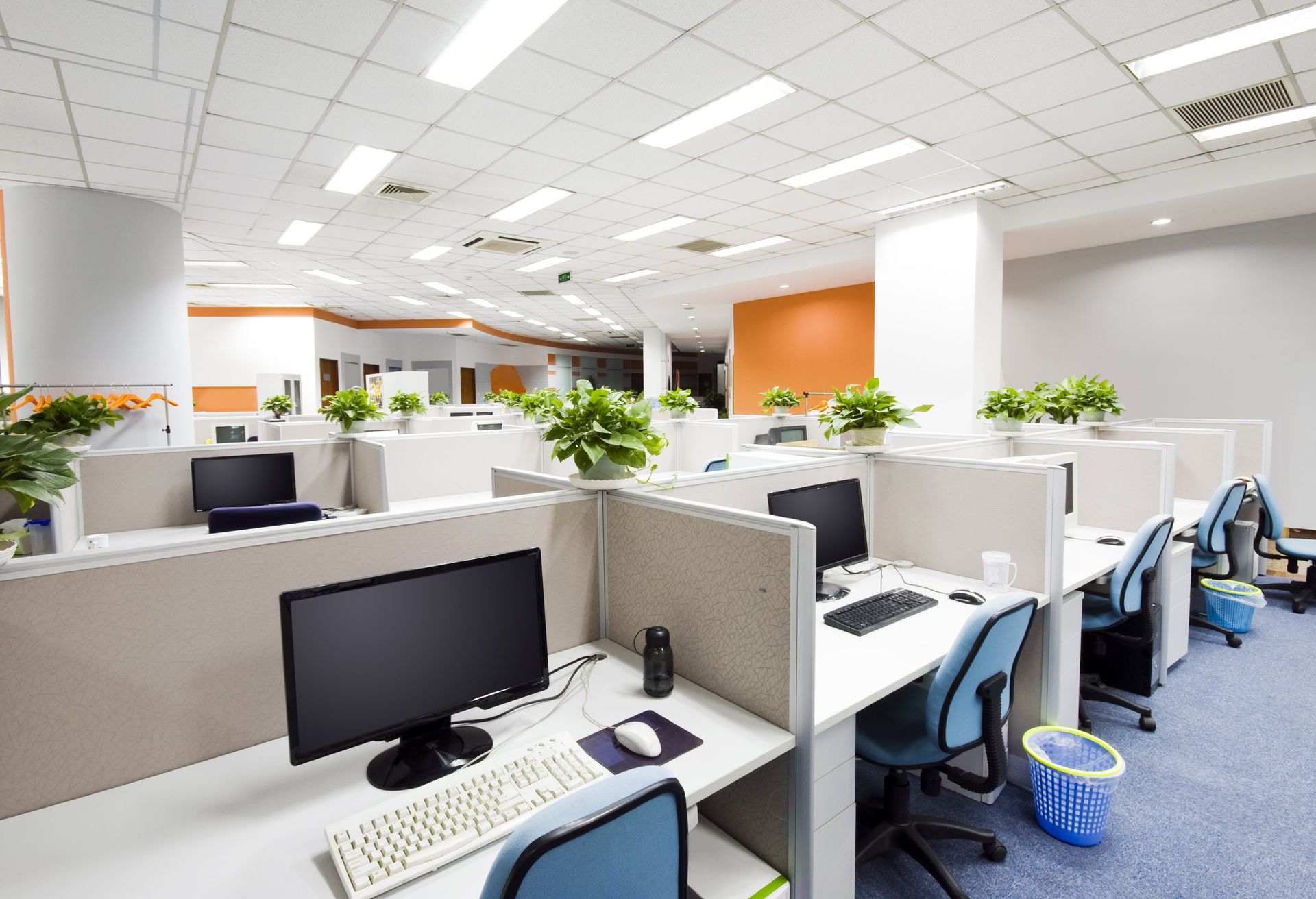 Open office with rows of cubicles, desks, monitors, and blue chairs under bright ceiling lights