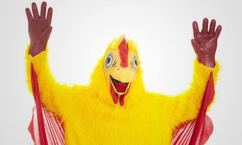animal costumes for parties and business events