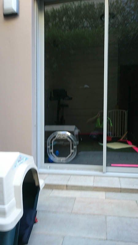 small pet door