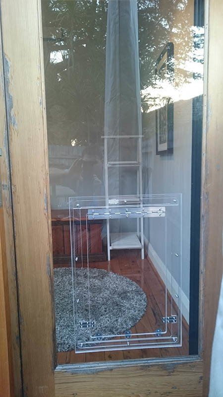 large dog door
