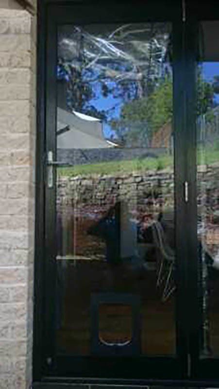 small pet door