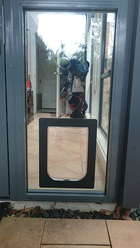 large cat flap