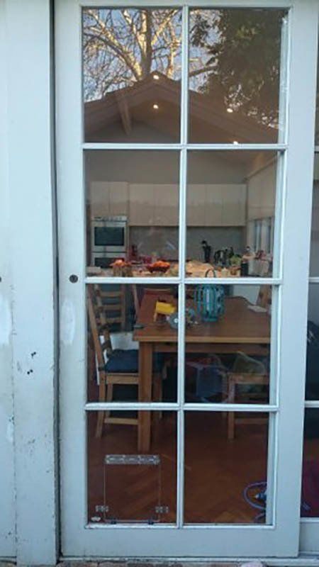 clear pet door