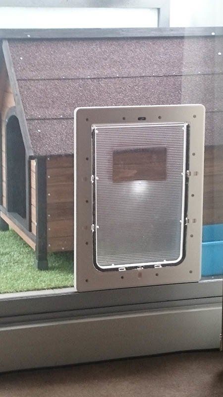 pet door