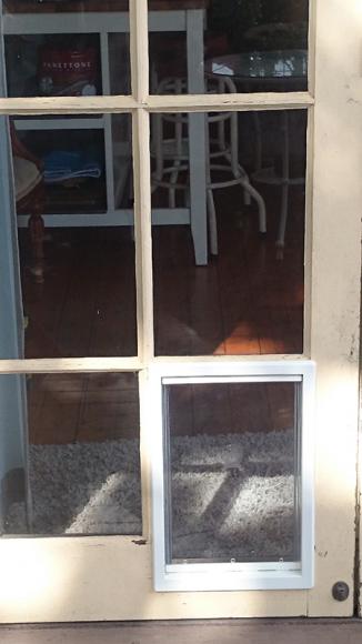 dog door