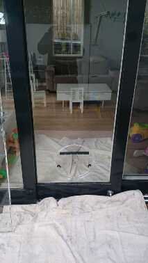 dog door in glass