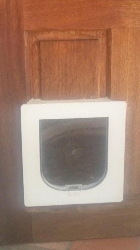cat door in timber