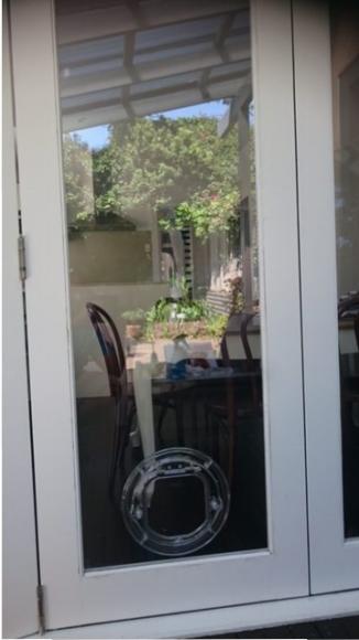 dog door