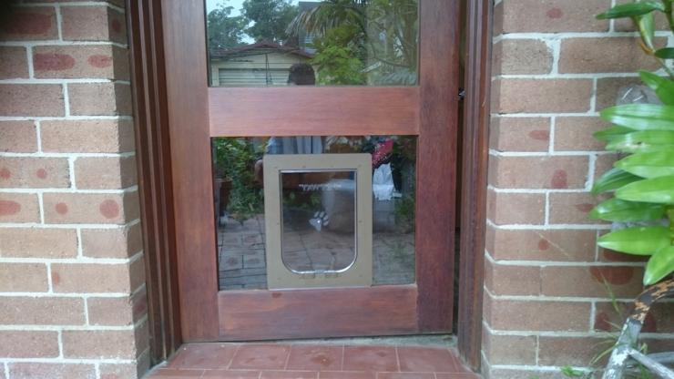 dog door in glass