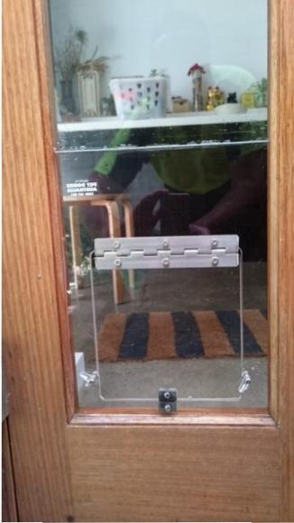 pet door flap in glass