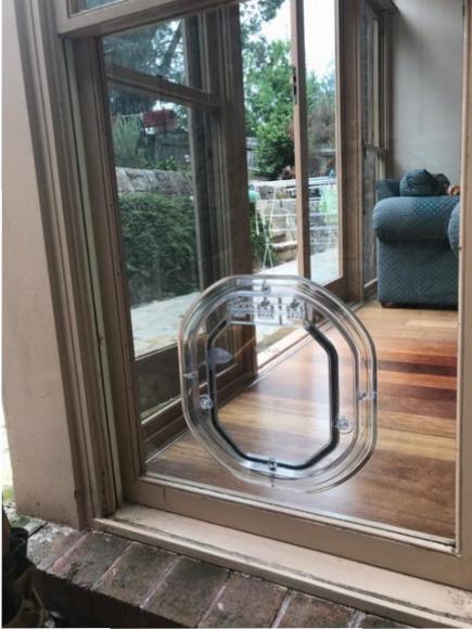 glass with dog door