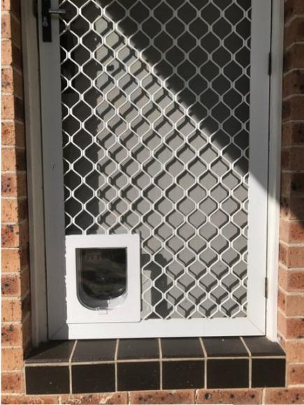 dog door in screen door