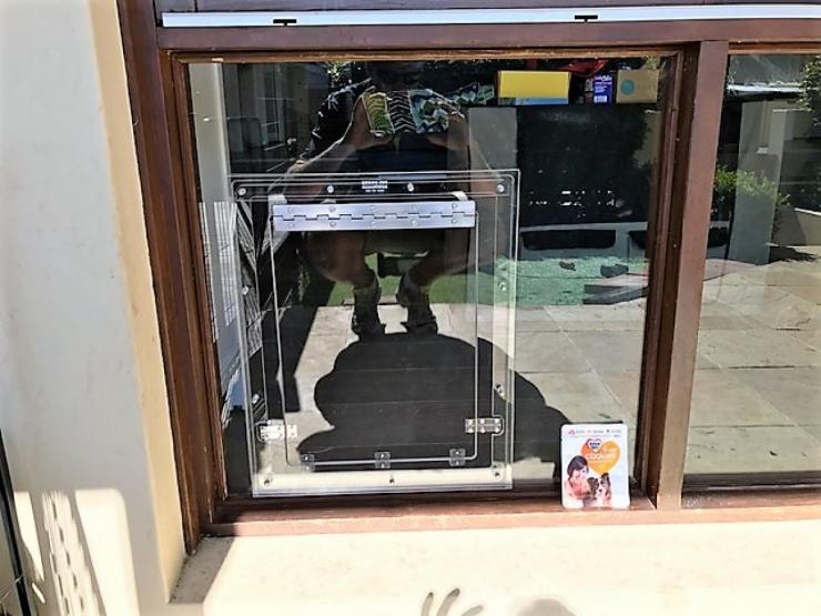 dog door flap