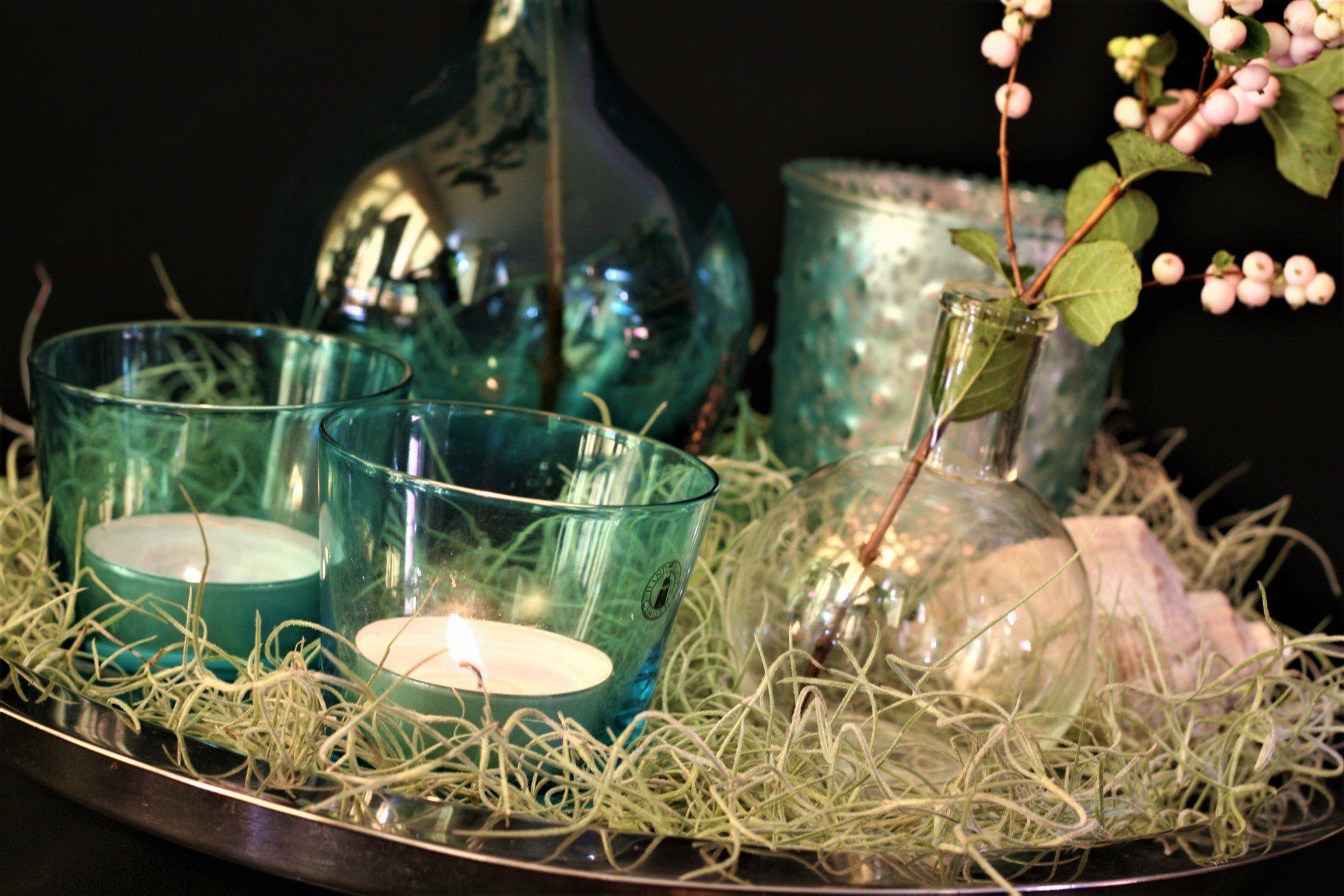 Airplant