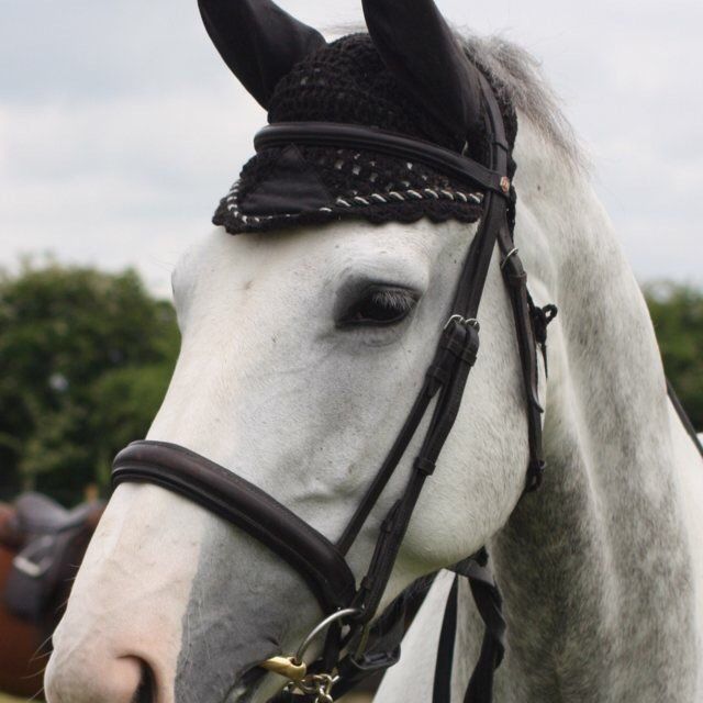 horse riding