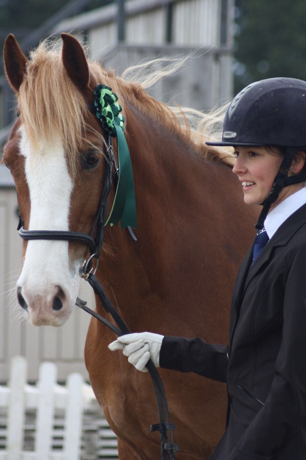 horse and rider