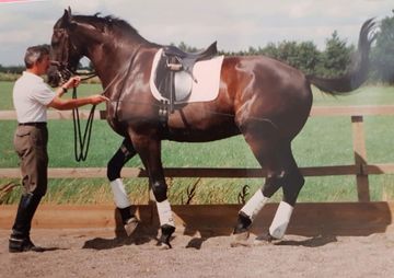 horse riding