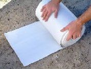 Roll of paper