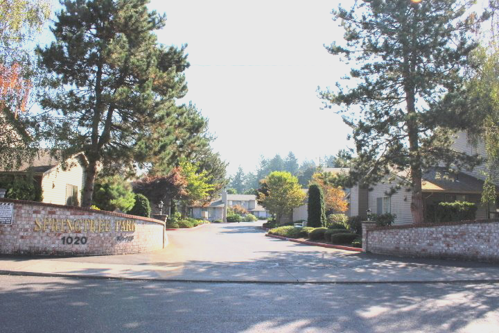 Springtree Park Property Image