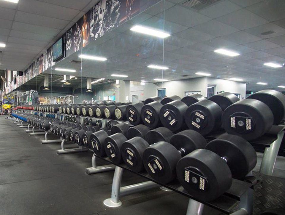 barbell