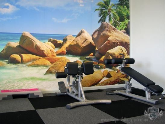 sit-up machine