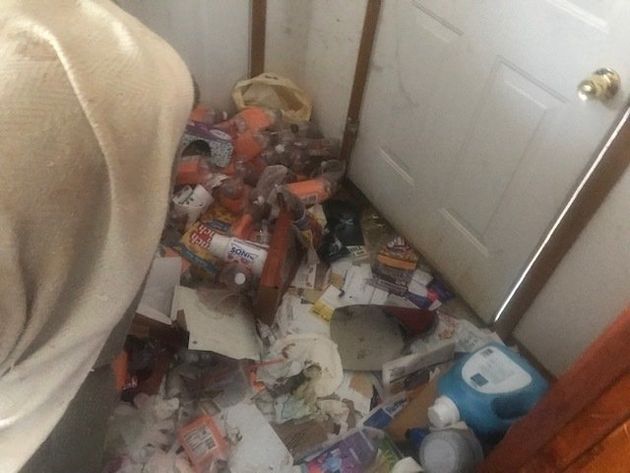junk removal springfield