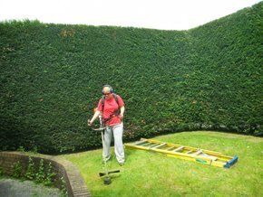 garden work