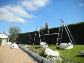 garden expert