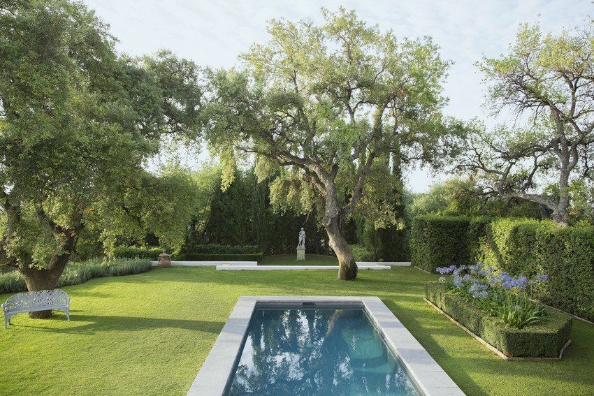 trees in the garden area