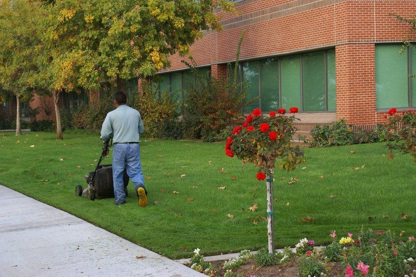 lawn being mowed