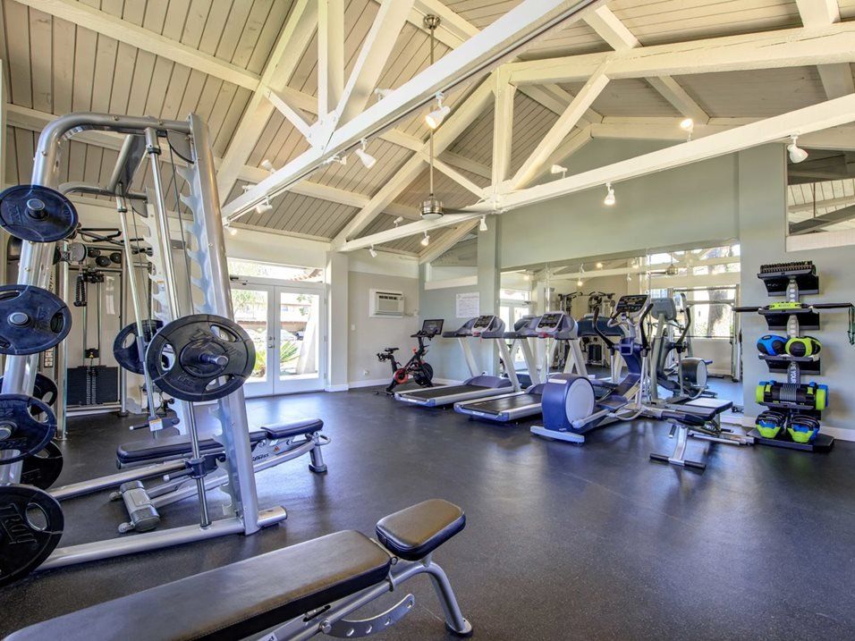 Gym | Terra at Austin