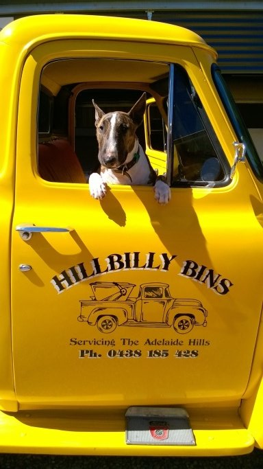 recycling, rubbish removal, skip bins, mini skips