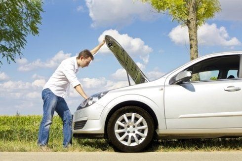 Auto di cortesia