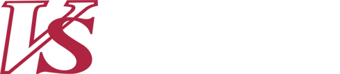 Vuesse Costruzioni - LOGO