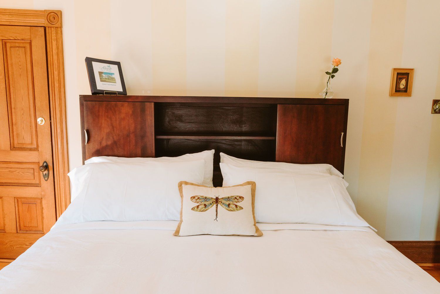 lunenburg accommodations dragon fly bed
