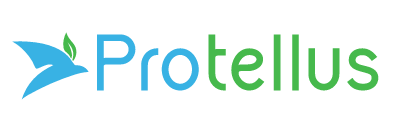 Internet marketing services by Protellus
