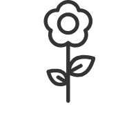 Graphic of a single flower with stem