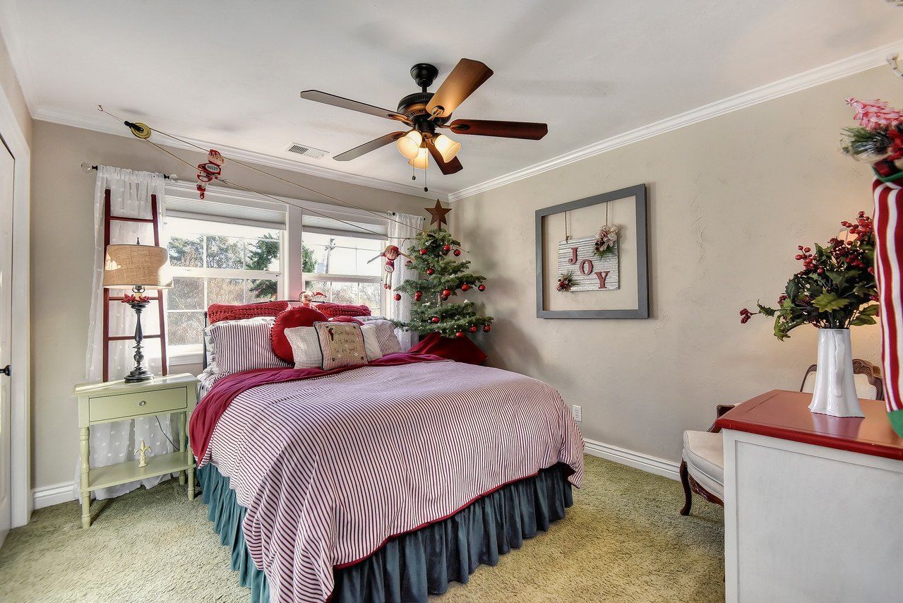 Bedroom decorated for Christmas with zebra-striped bedspread, Christmas tree, and festive accents.