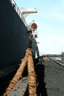 Maritime 4 Citywide Protection Services Hampton Roads, VA