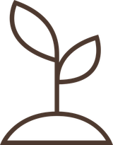 Seed Management Icon
