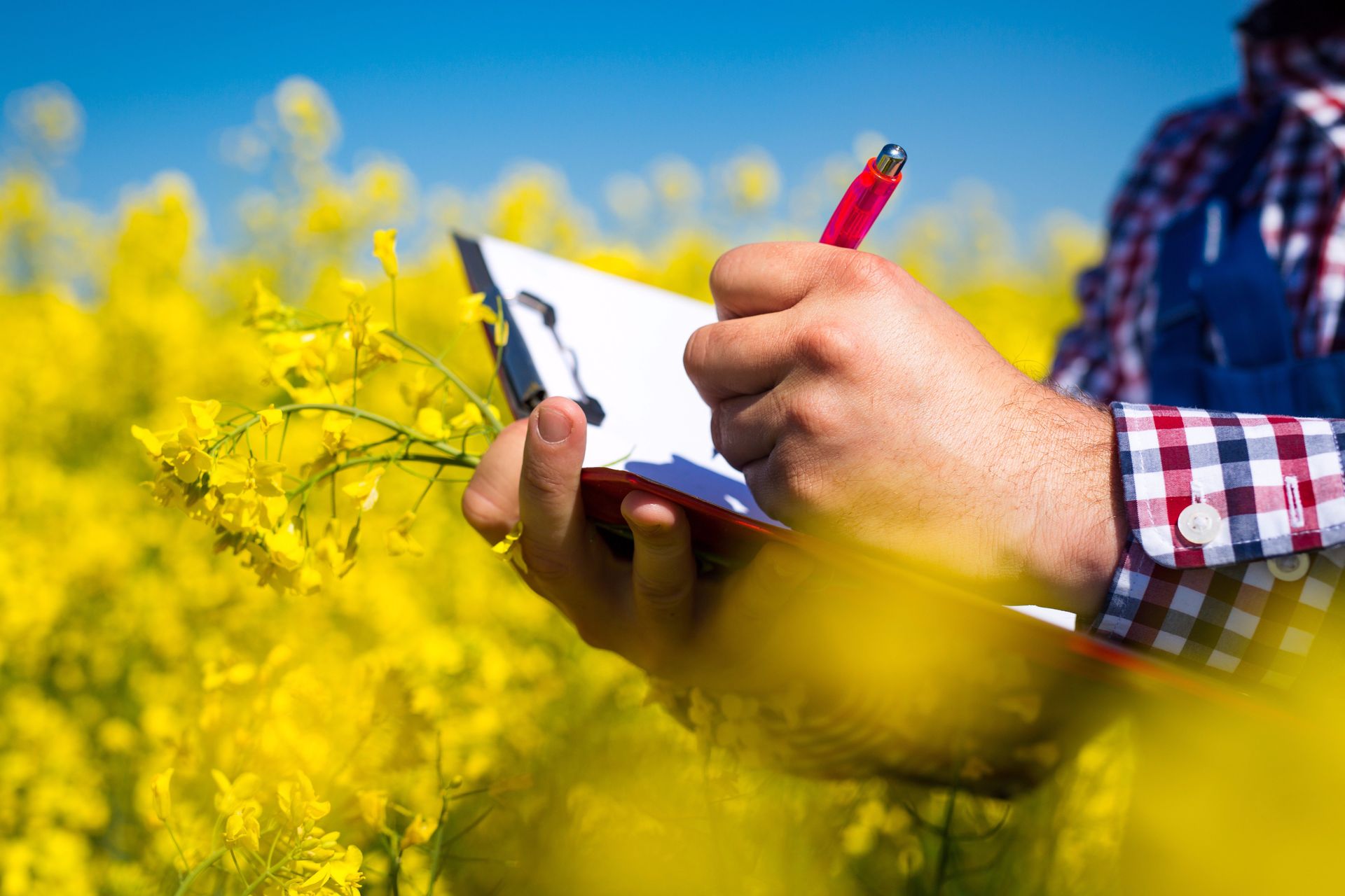 Agricultural; Consultants; Farmers