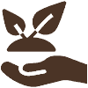 Technology Consultation Icon