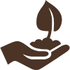 Crop Analysis Icon