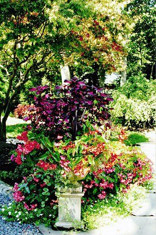 Different Flowers Landscape — Lakewood, NJ — Howard Payne Landscaping & Design Inc.