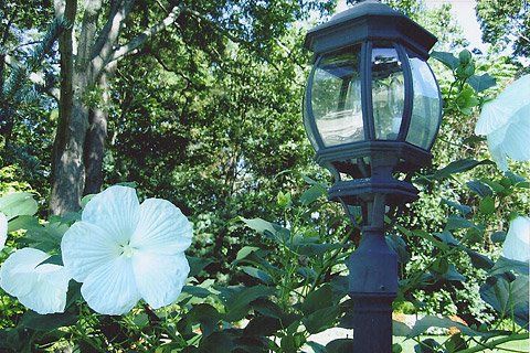 Post Lamp — Lakewood, NJ — Howard Payne Landscaping & Design Inc.