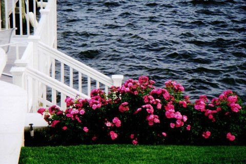 Flowers By the Bay — Lakewood, NJ — Howard Payne Landscaping & Design Inc.