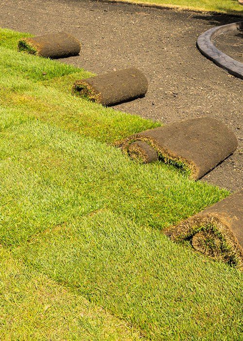 Installation of Sod on Private Property Front Yard — Jacksonville, FL — Southern Tree Farm