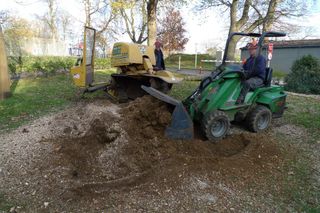 tree-works-northamptonshire-oxfordshire-leicestershire-warwickshire-maurice-fitch-tree-works-gallery