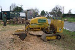 tree-works-northamptonshire-oxfordshire-leicestershire-warwickshire-maurice-fitch-tree-works-gallery tree-works-northamptonshire-oxfordshire-leicestershire-warwickshire-maurice-fitch-tree-works-gallery